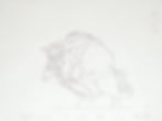 SOLD - Beast Drawing #B143