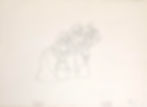 SOLD - Bimbettes Drawing #B11