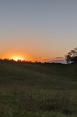 rollingpasture.jpg