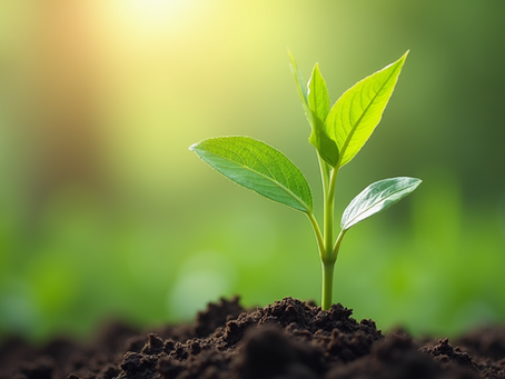 Building Lasting Trust with Shareholders: A C-Suite Blueprint for Success