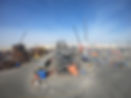 YARD 3_9.JPG