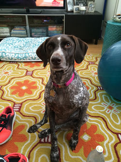 Bella - Marijo
