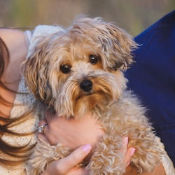 Katie - Teddy