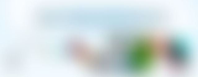 A RELIABLE NAME FOR WEB SITE DEVELOPMENT