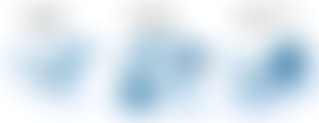 DESIGNS FOR COMPANY WEB SITES