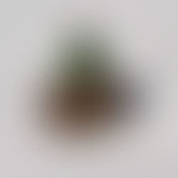 Årstallspiker for sville fra Vammabanen