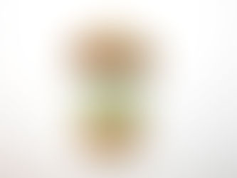 Medalje Vikingmarsjen