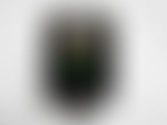 Linjedeler Norges statsbaner