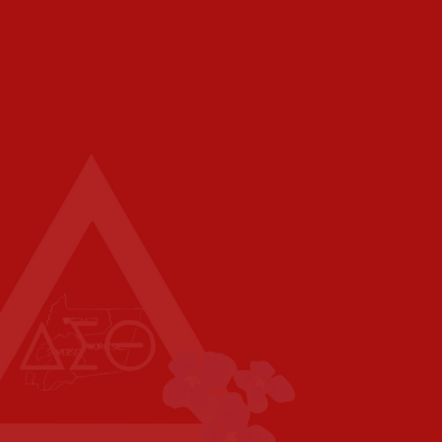 PAAC Logo Faded (1).png