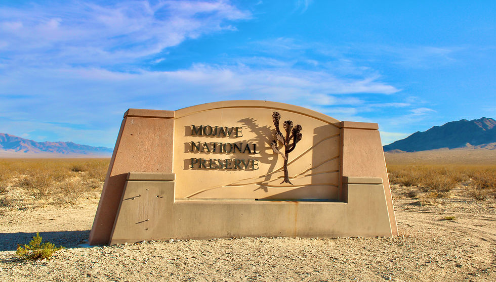 Picture of the entrance to the Mojave National Preserve.
