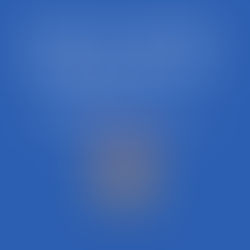 Bulletin: February 1st (4th Sunday in Ordinary Time - Yr A)