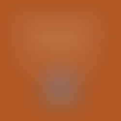 Lefevre Catholic Community:Advent Retreat