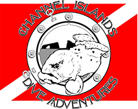 Channel Island Dive Adventures
