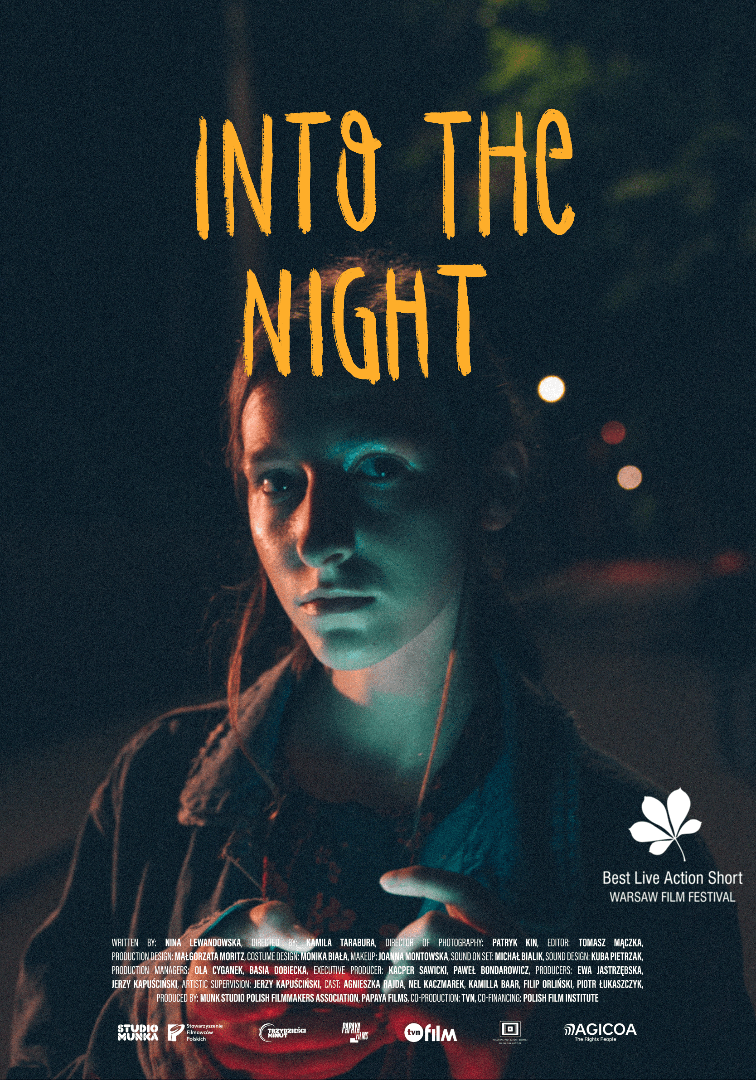 Chodźmy w noc / Into the night poster