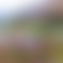 평창동계올림픽 ‘문화레거시’ 기록미술로 남는다