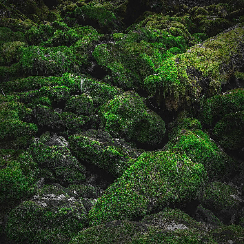 mossy-rocks-chris-sveen.jpg