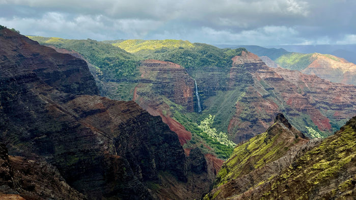 Waimea valley