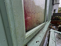 Dirty conservatory roof in Okehampton