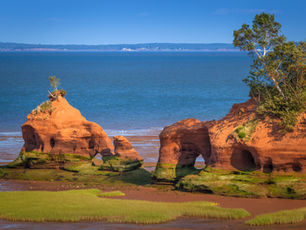 Seiche: Internal Witnessing for Body and Mind Relaxation