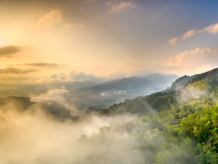 Fog over mountains with lush green trees, sun, and clouds.