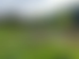 Garden: Refinement through Practice and Consistency