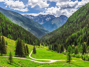 Beautiful landscape of a green, conifer tree lined valley with snow capped mountains in the background with fluffy clouds and blue sky and a meandering trail passing through the green open grass of the valley