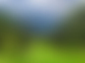 Beautiful landscape of a green, conifer tree lined valley with snow capped mountains in the background with fluffy clouds and blue sky and a meandering trail passing through the green open grass of the valley