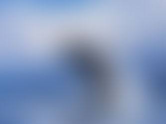 Megaptera: Loving Kindness for a Peaceful Life