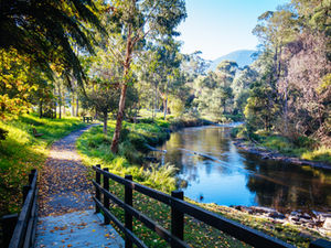 Morning light in autumn is cast over the Yarra River on the Yarra River Walk trail in Warburton, Victoria,. Australia