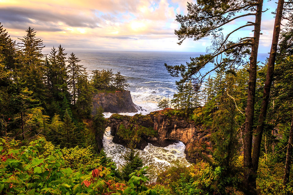Costal forest trail and ocean view representing off road barefoot outdoor lifestyle | Spunky Mind
