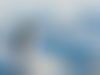 Penguin standing on ice at the edge of cold water, a symbol of readiness, resilience, and entering fully without apology.