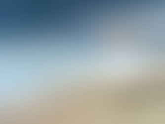 Piece of driftwood on a sandy beach beside the ocean under a cloudy sky