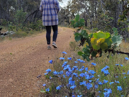 Collie-Darkan Heritage Rail Trail