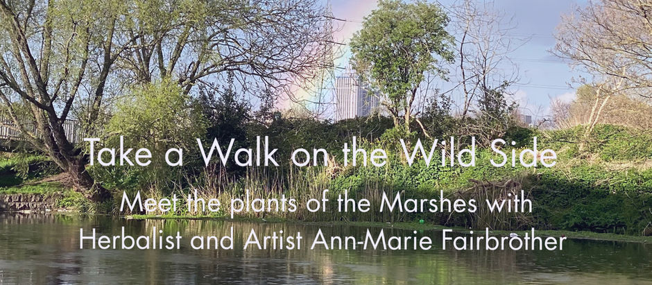 Take a Walk on the Wild Side