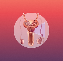 Untitled design (57).png