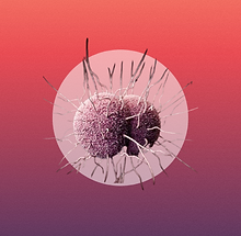 Untitled design (55).png