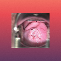 Untitled design (66).png
