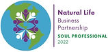 badge_SoulProfessional_edited.jpg