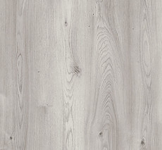 708-Siberia-Oak.jpg