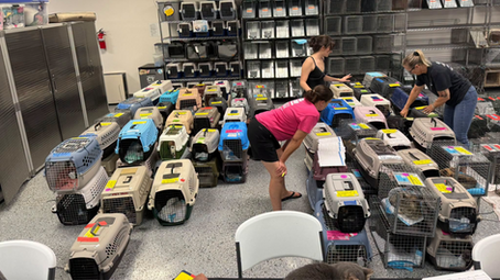 IT TAKES A VILLAGE: THE PEOPLE BEHIND FRESNO TNR