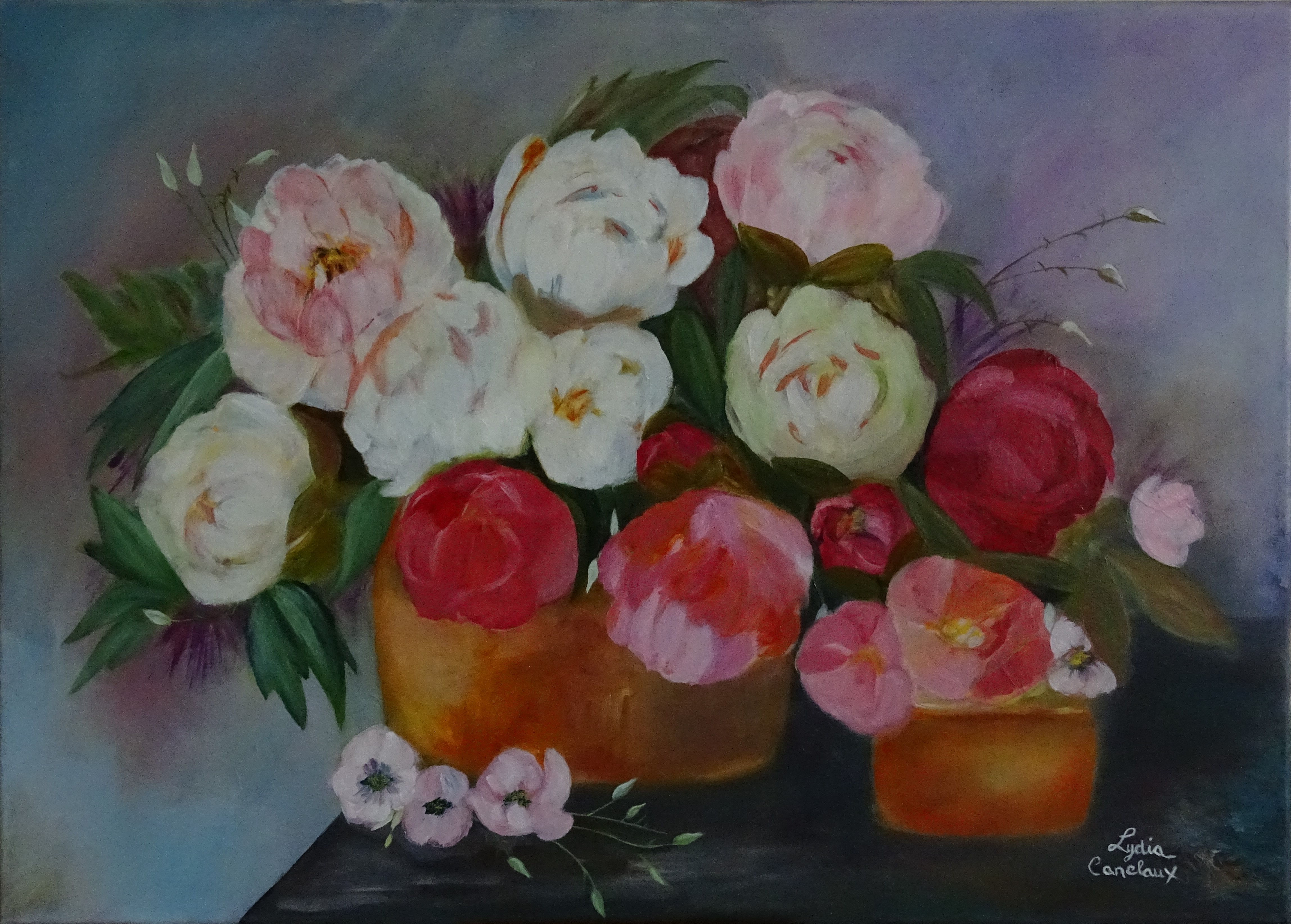 Pivoines