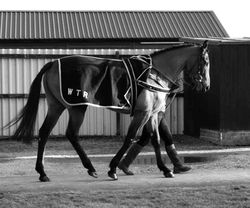 Screenshot_20210513-191535_Facebook_edited