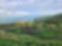 Harriers Trail Run | Turihaua Station