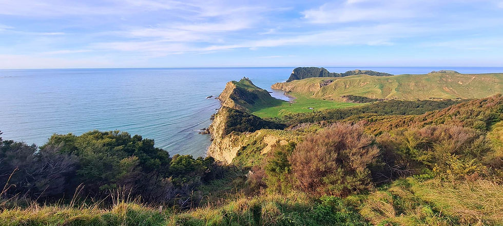 Cooks Cove Trail Run | Gisborne Harriers Club