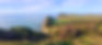 Cooks Cove Trail Run | Gisborne Harriers Club