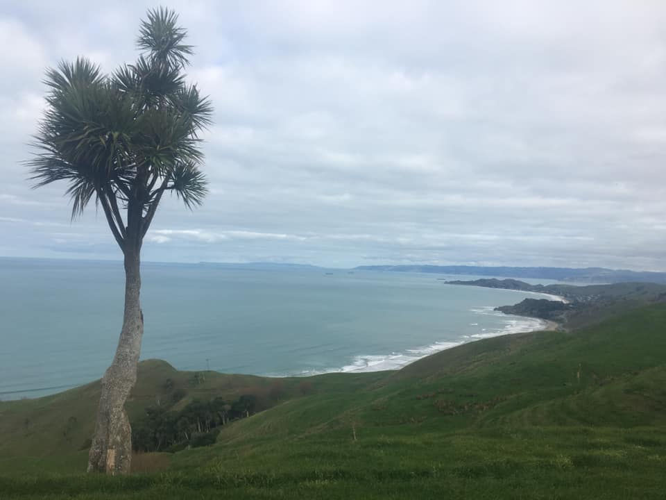Gisborne Tramping Club Walk |  Makorori Station