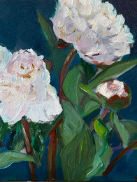 white peonies with blue background