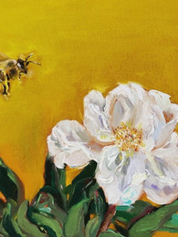 Honey bee flying to peony