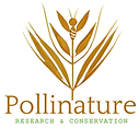 Pollinature_small.tif
