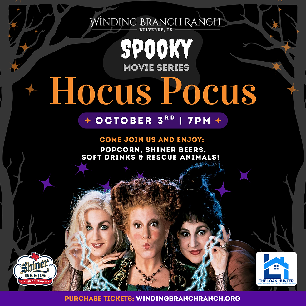 Spooky Series: Hocus Pocus